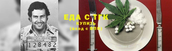 дмт Алзамай