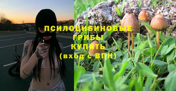 экстази Новодвинск