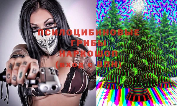 дмт Алзамай