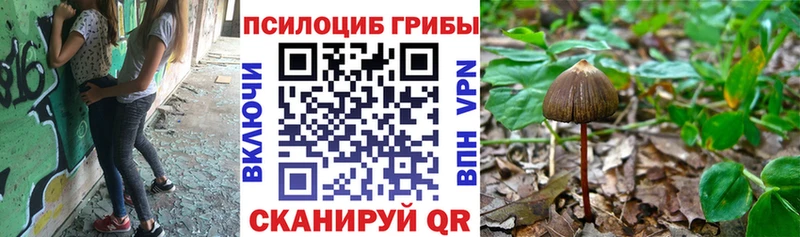 Галлюциногенные грибы Magic Shrooms  MEGA как войти  Октябрьск 